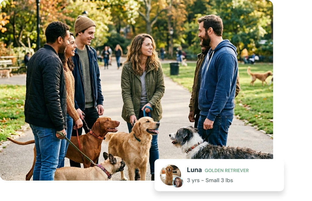Your people app UI